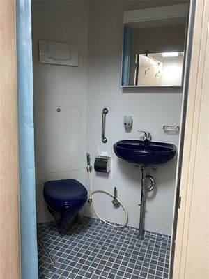 comprare Pre Fab Modular Toilet Office Washroom impermeabile fabbricazione online